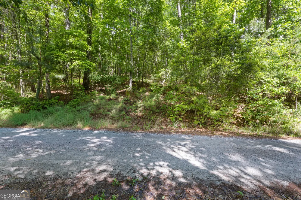 721 Rausch RDG Chattahoochee Hills, GA 30268