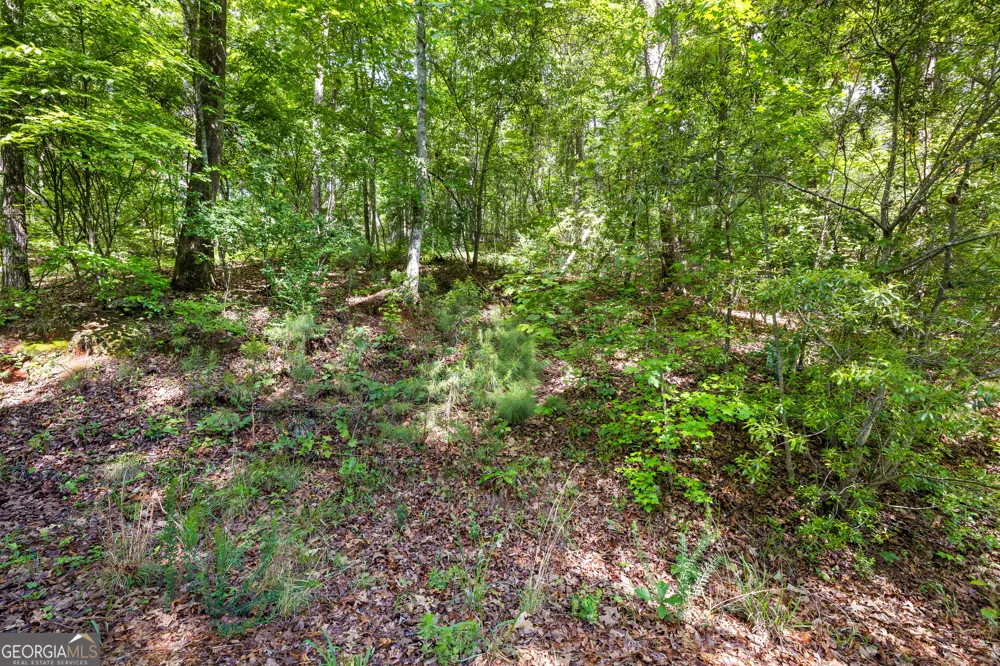 721 Rausch RDG Chattahoochee Hills, GA 30268