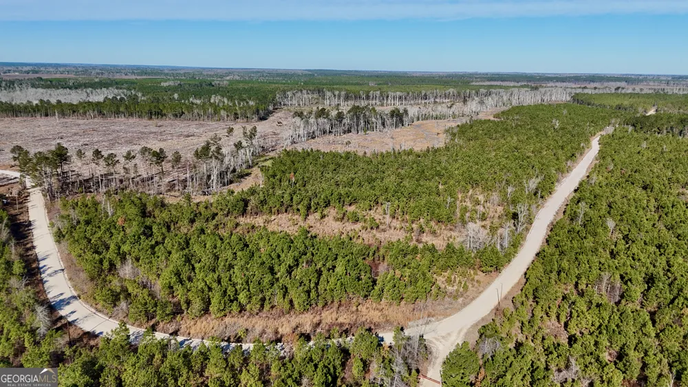 0 Tillman Cemetery RD Lumber City, GA 31549