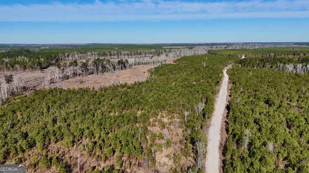 0 Tillman Cemetery RD Lumber City, GA 31549