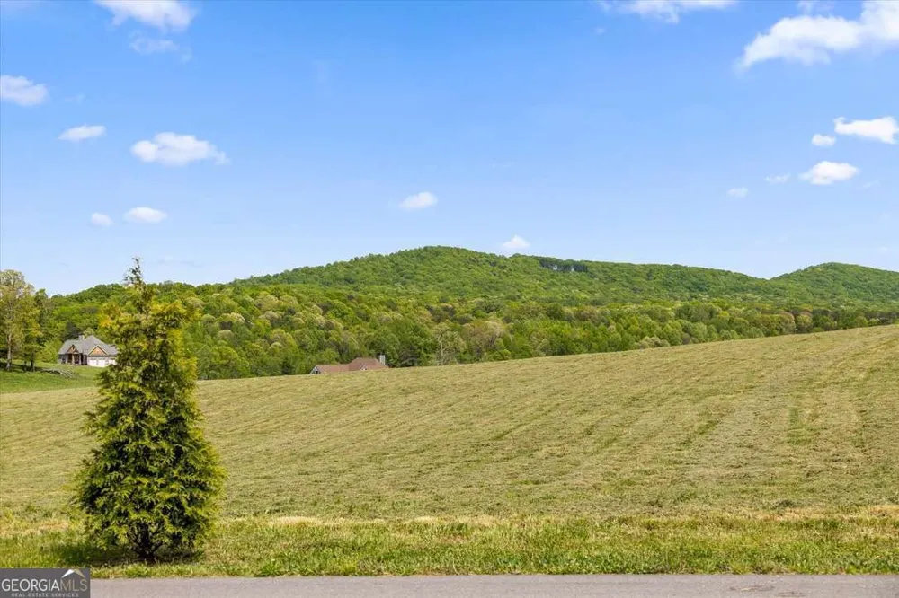 LOT 2 Bravo WAY Talking Rock, GA 30175