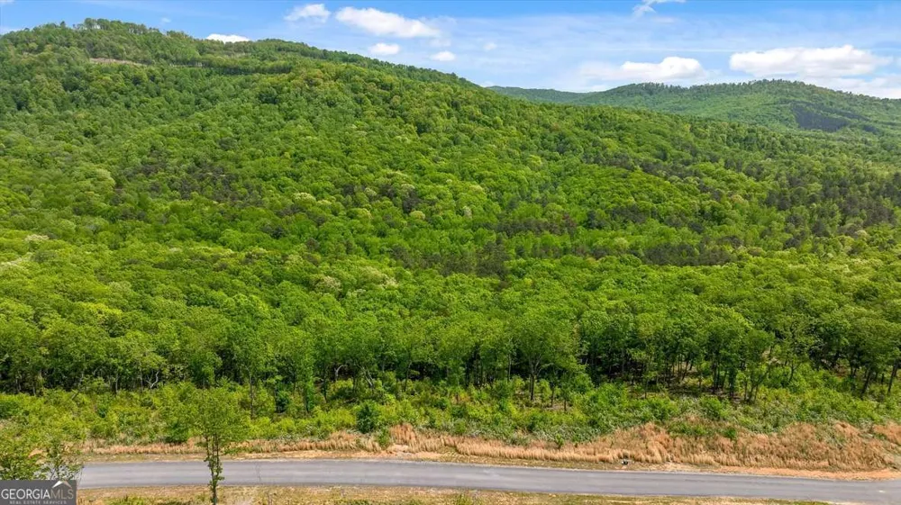 LOT 237 Highgrove DR Talking Rock, GA 30175