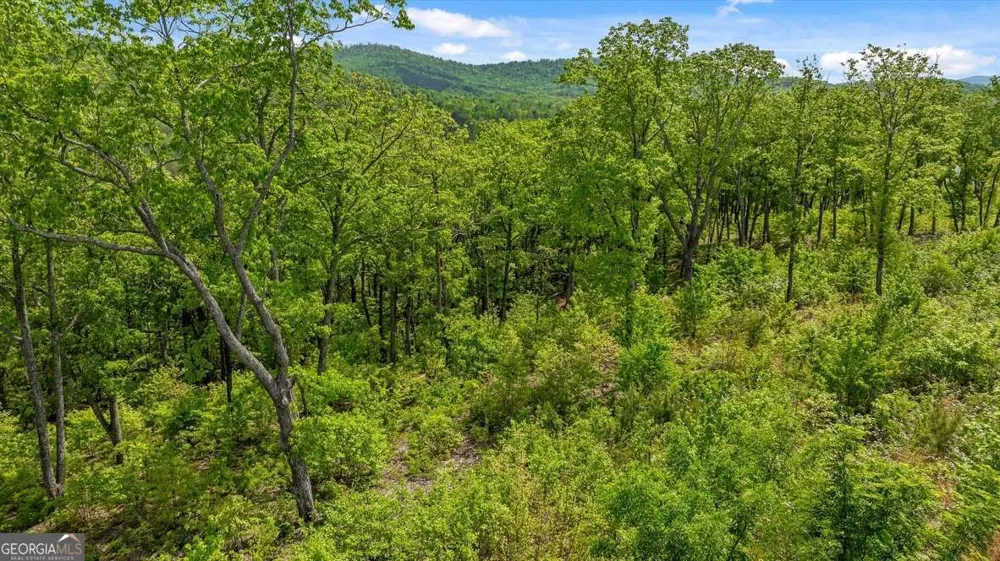 LOT 237 Highgrove DR Talking Rock, GA 30175