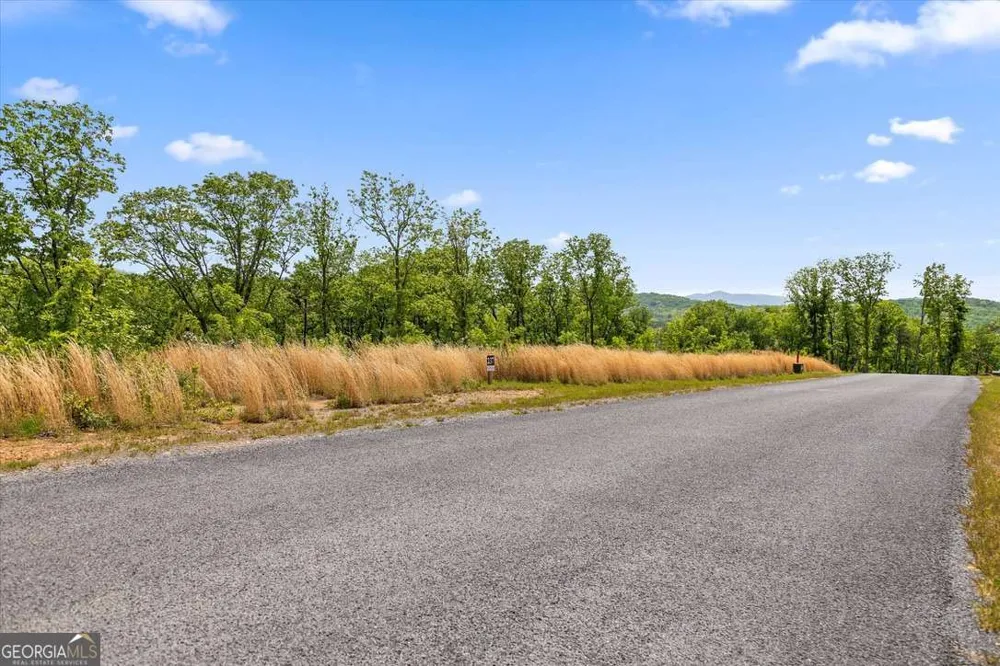 LOT 237 Highgrove DR Talking Rock, GA 30175