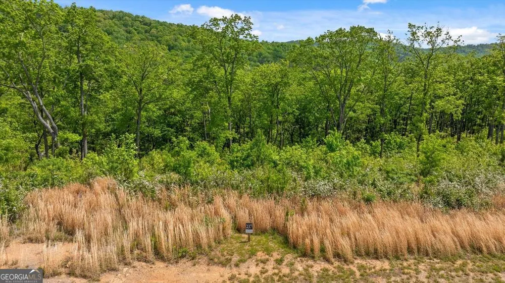 LOT 237 Highgrove DR Talking Rock, GA 30175