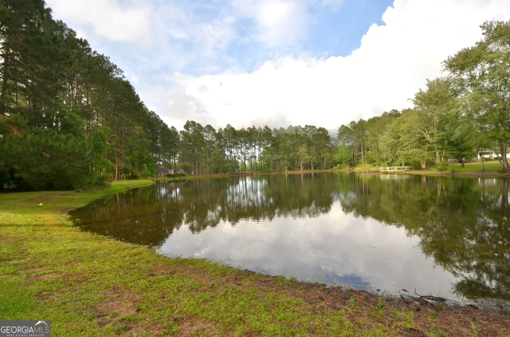 41 Pine Lane DR Eastman, GA 31023