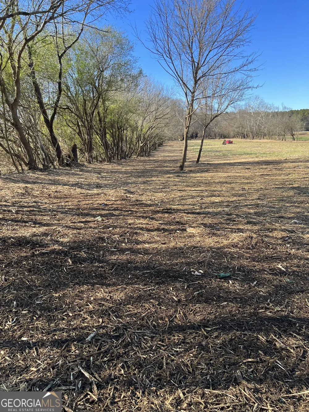 200 Willow LN Talking Rock, GA 30175