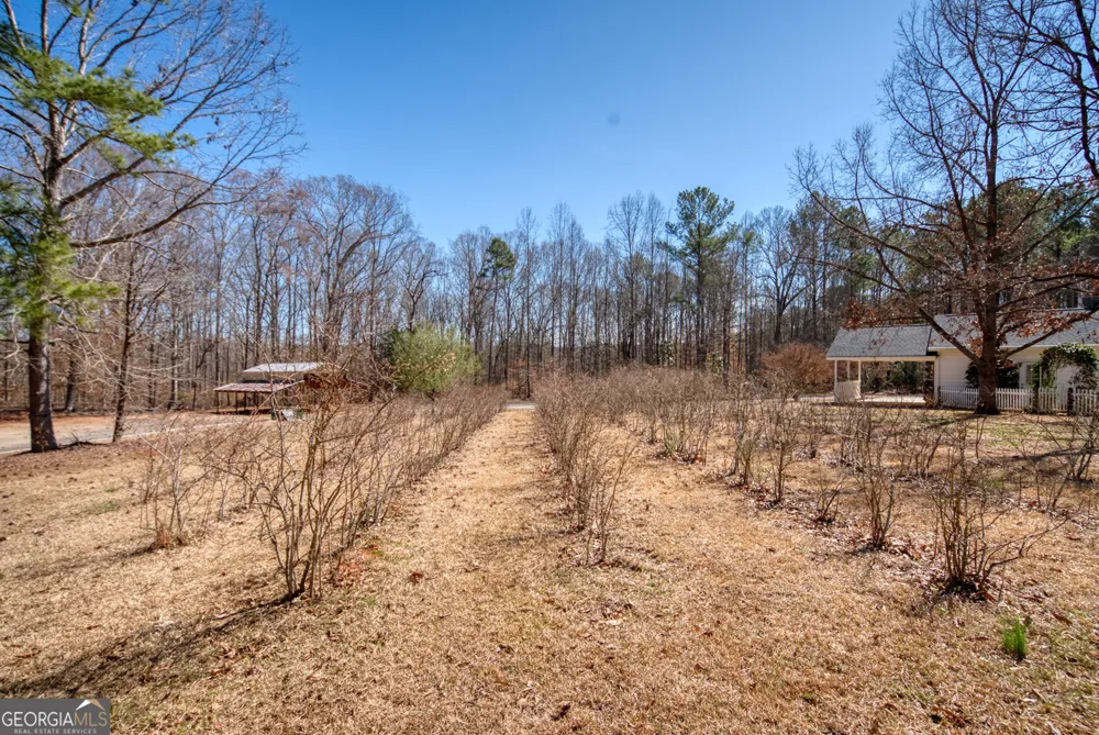 1650 Pierce Dairy RD Madison, GA 30650