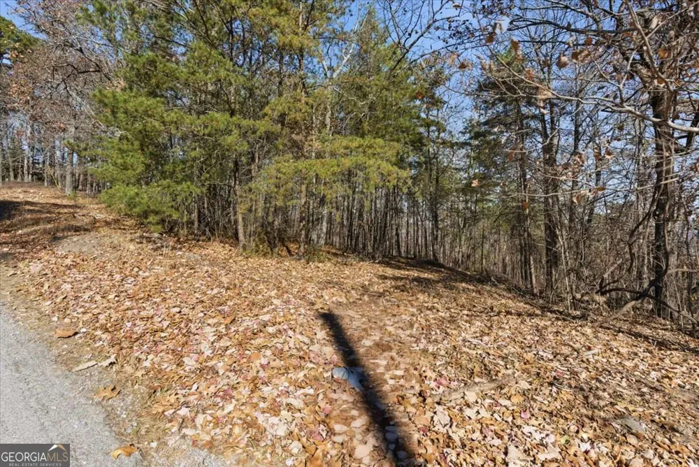 1166 Hunter DR Ranger, GA 30734
