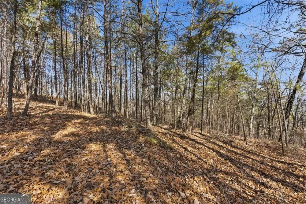1166 Hunter DR Ranger, GA 30734