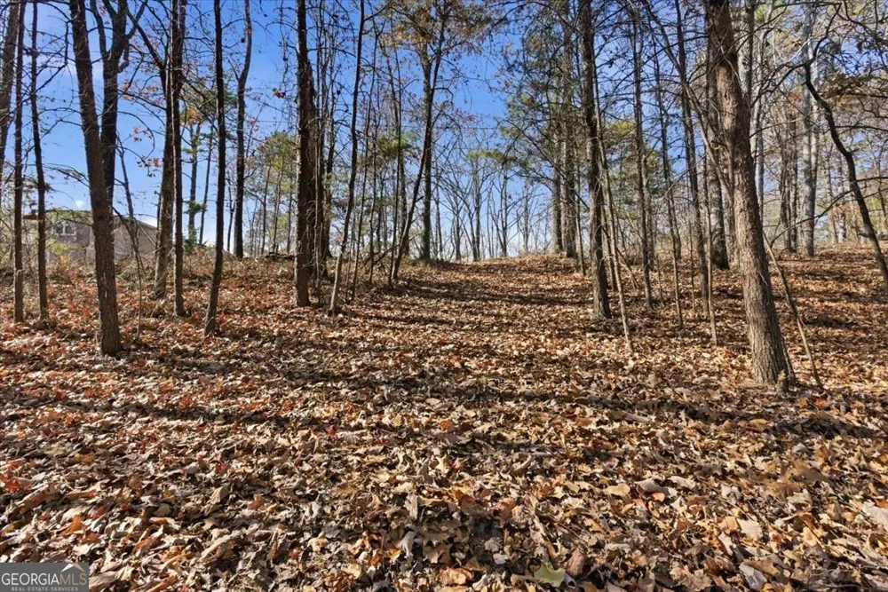 1166 Hunter DR Ranger, GA 30734