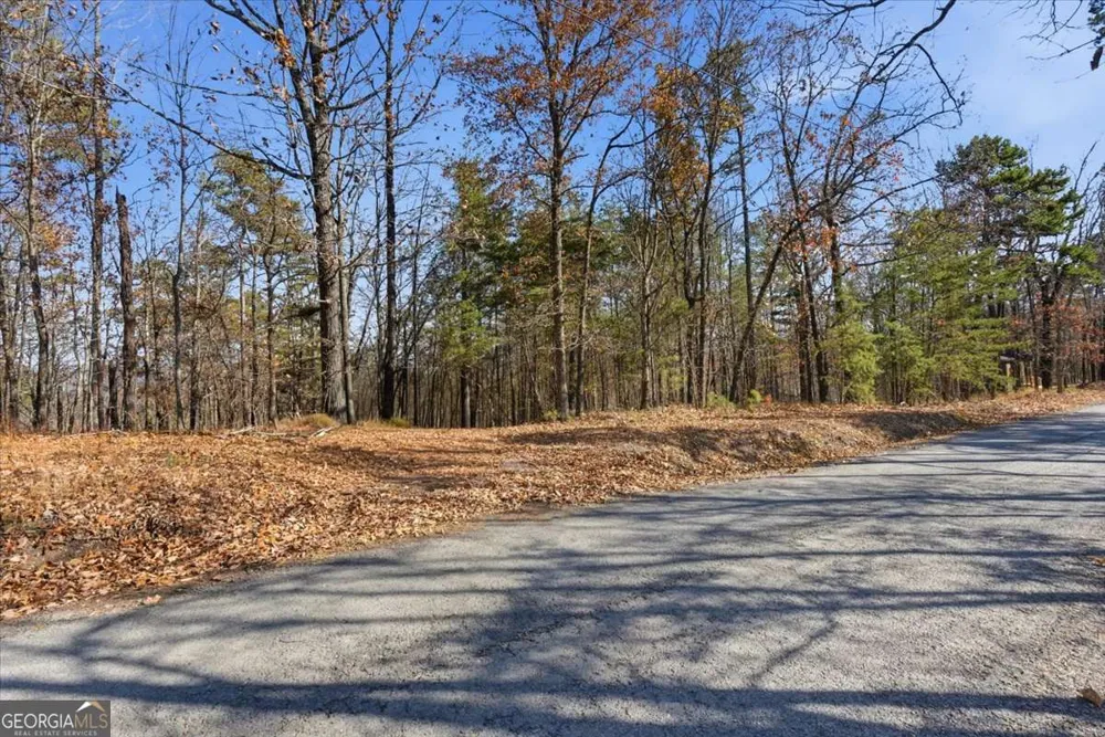 1166 Hunter DR Ranger, GA 30734