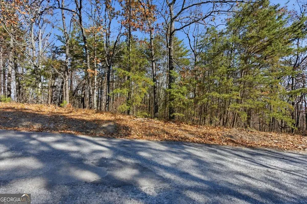 1166 Hunter DR Ranger, GA 30734