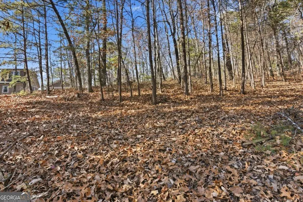 1166 Hunter DR Ranger, GA 30734