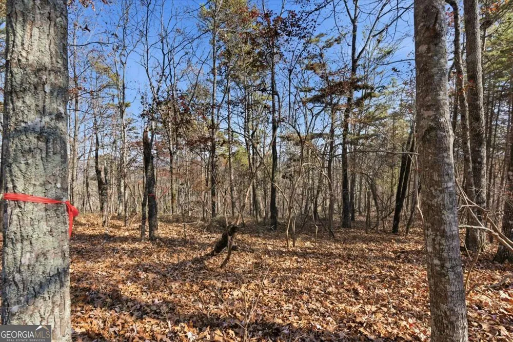 1166 Hunter DR Ranger, GA 30734