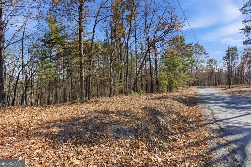 1166 Hunter DR Ranger, GA 30734