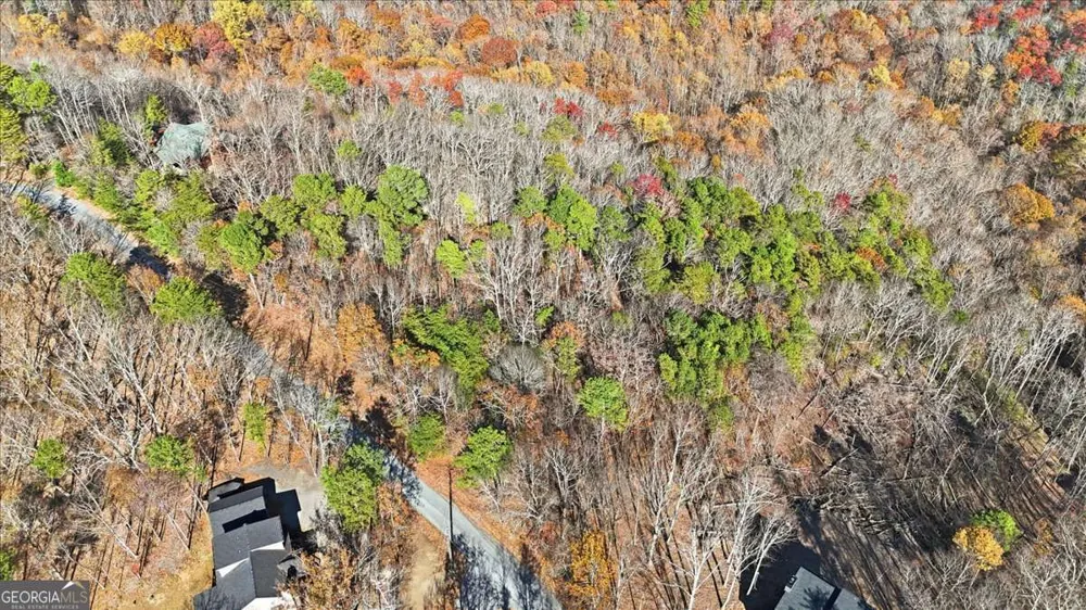 1166 Hunter DR Ranger, GA 30734
