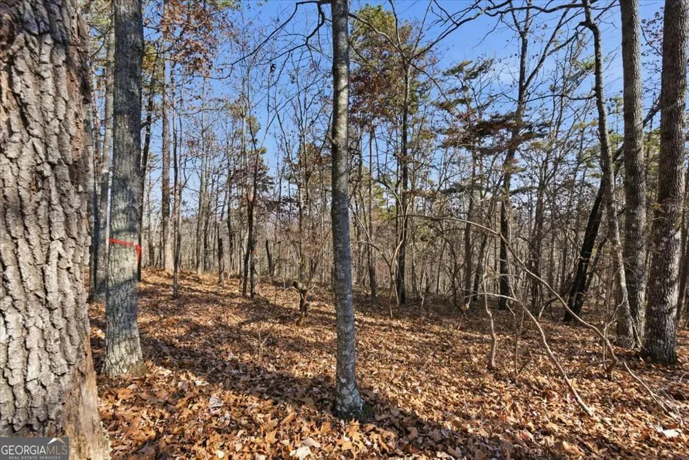 1166 Hunter DR Ranger, GA 30734