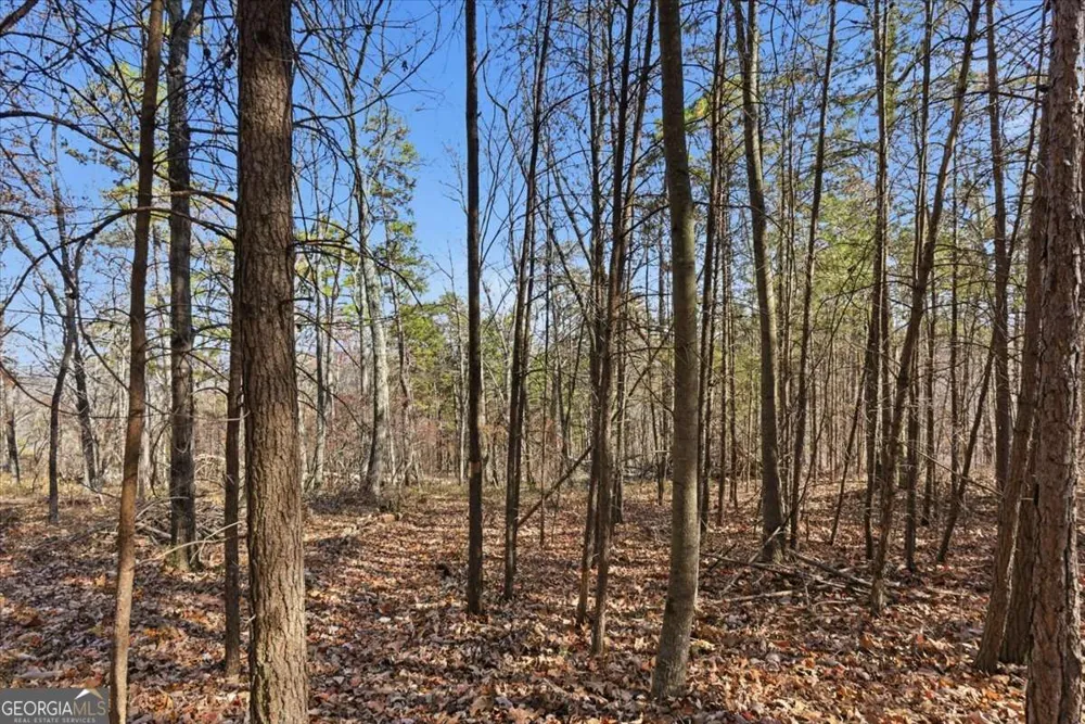 1166 Hunter DR Ranger, GA 30734