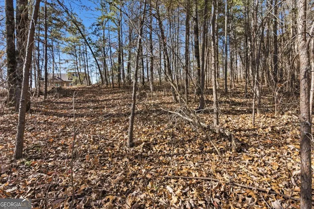 1166 Hunter DR Ranger, GA 30734
