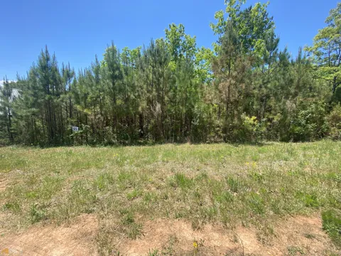 LT 55 Village Loop