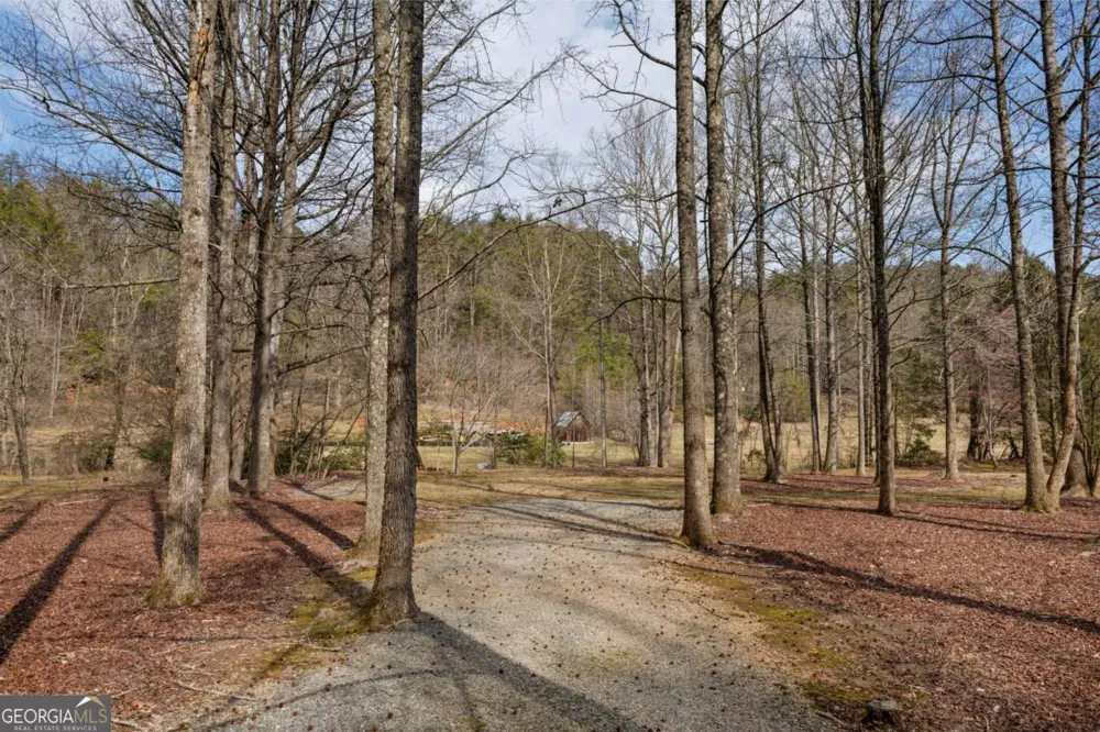 105 River RD Cherry Log, GA 30522