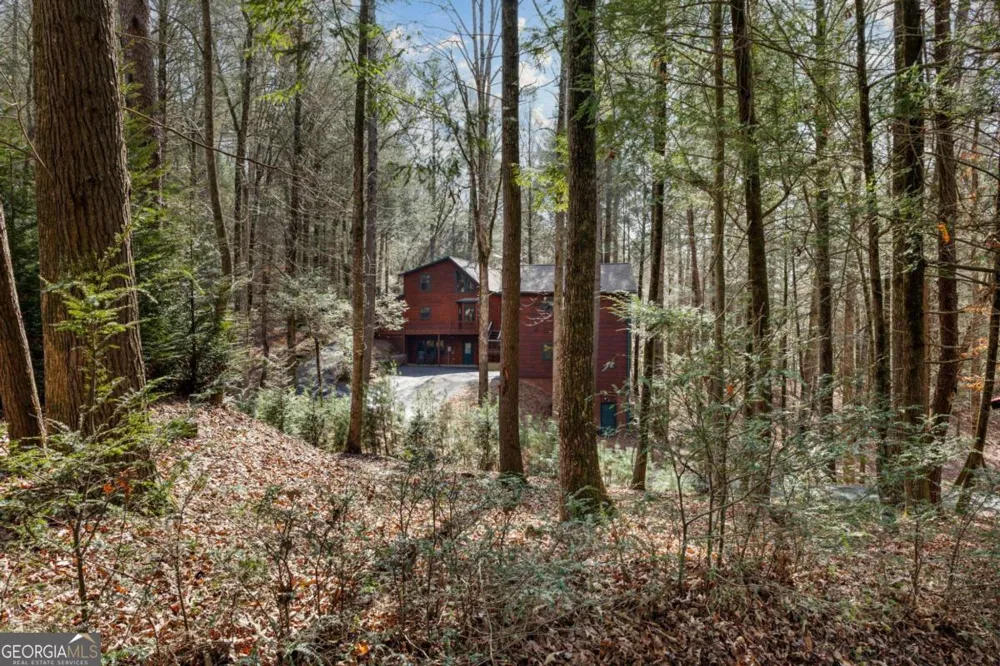 105 River RD Cherry Log, GA 30522