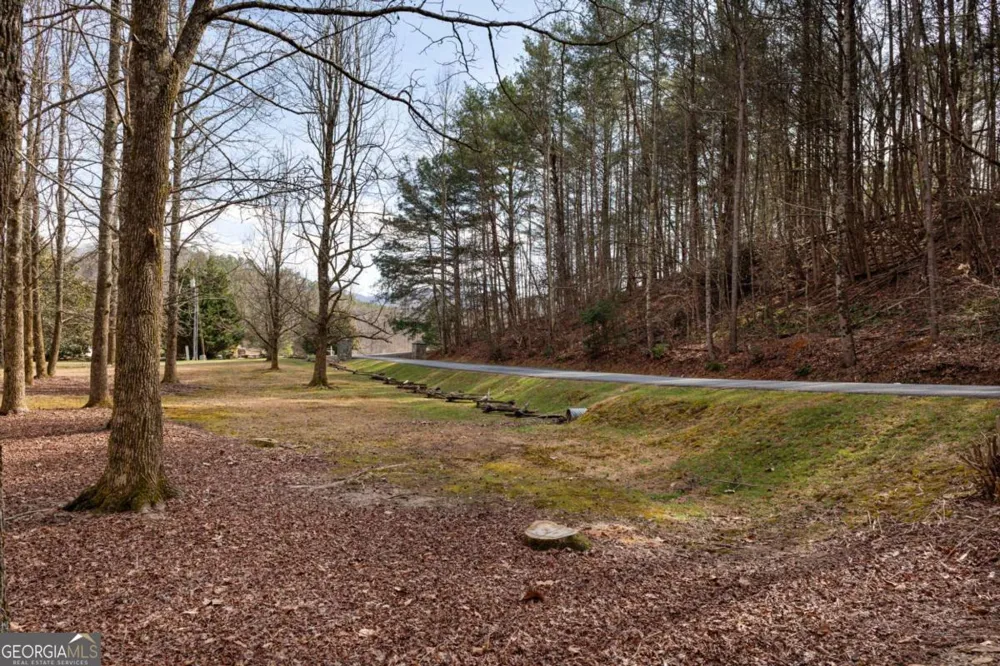 105 River RD Cherry Log, GA 30522
