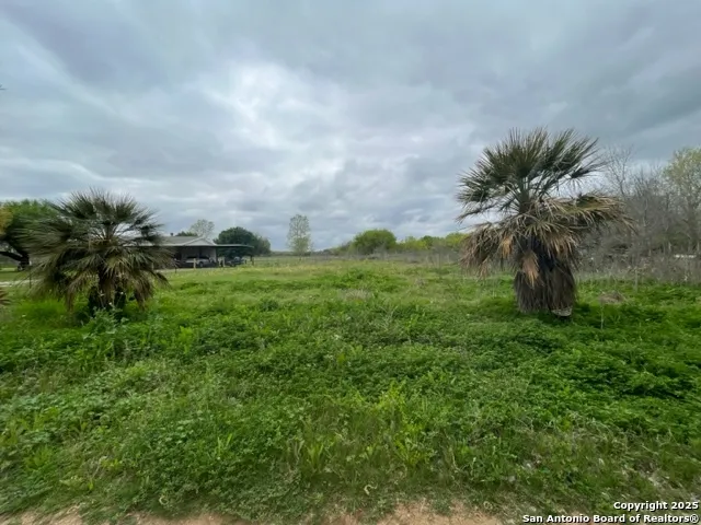 TBD Pr 6736 Devine, TX 78016