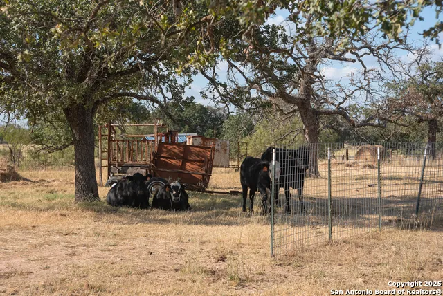TBD BLACKJACK RD Mason, TX 76842