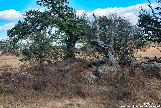 TBD BLACKJACK RD Mason, TX 76842