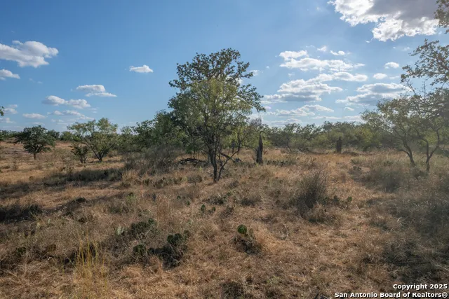 TBD BLACKJACK RD Mason, TX 76842