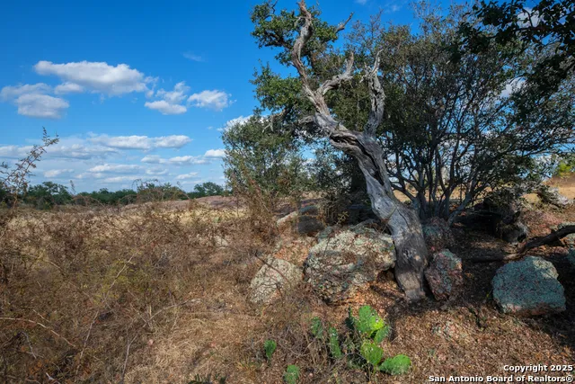 TBD BLACKJACK RD Mason, TX 76842