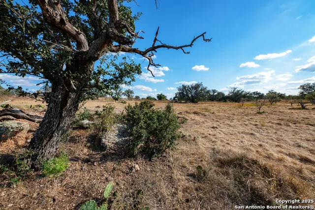 TBD BLACKJACK RD Mason, TX 76842