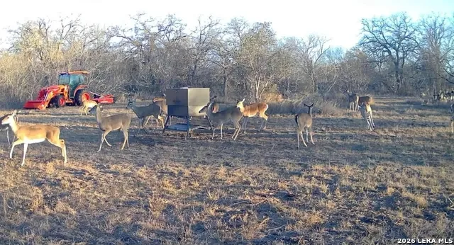000 CR 301 Gonzales, TX 78629