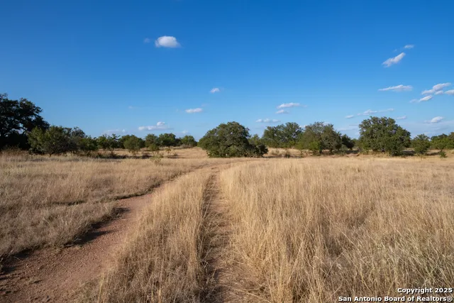 12805 Blackjack Rd Mason, TX 76842