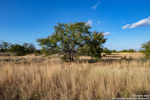 12805 Blackjack Rd Mason, TX 76842