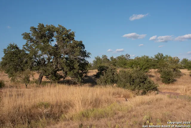 12805 Blackjack Rd Mason, TX 76842