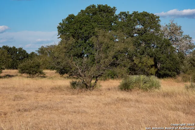 12805 Blackjack Rd Mason, TX 76842