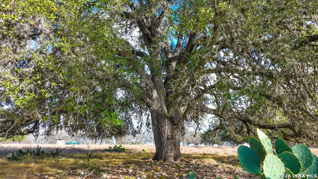 455 Hubble Medina, TX 78055
