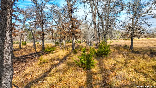 455 Hubble Medina, TX 78055