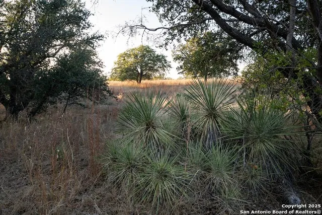000 Black Jack Road Fredonia, TX 76842