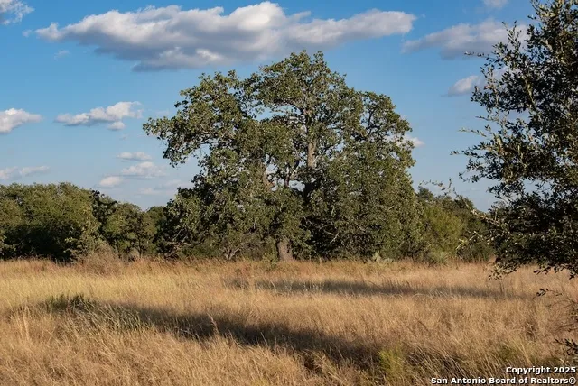 000 Black Jack Road Fredonia, TX 76842