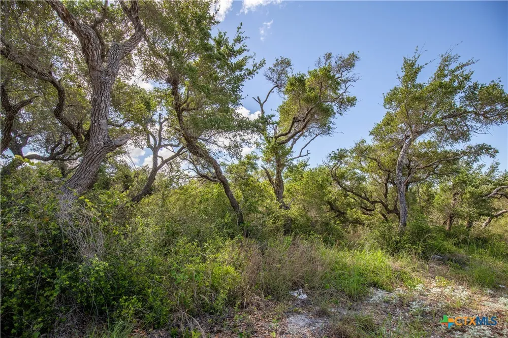 N McCampbell and E Young Ave Street Aransas Pass, TX 78336