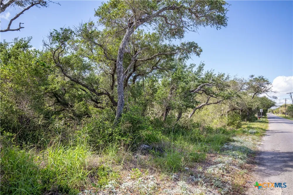 N McCampbell and E Young Ave Street Aransas Pass, TX 78336