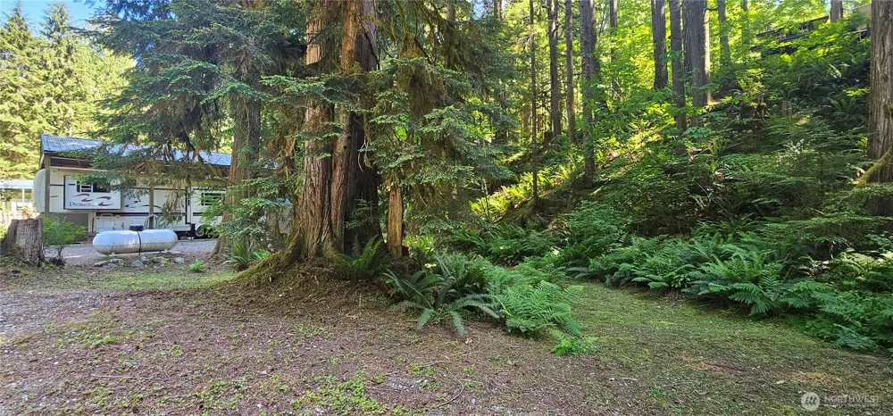 63702 Marblemount Way Marblemount, WA 98267