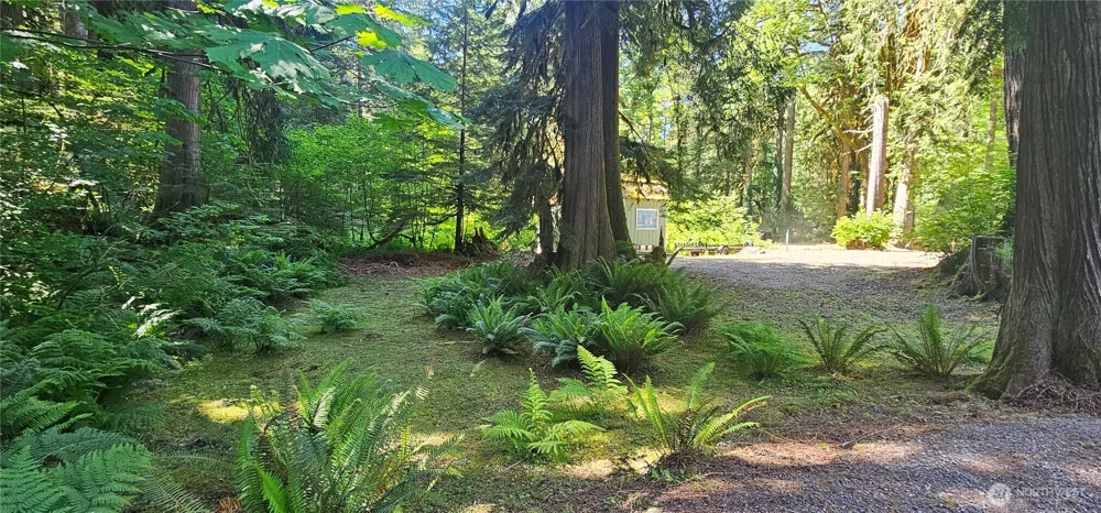 63702 Marblemount Way Marblemount, WA 98267