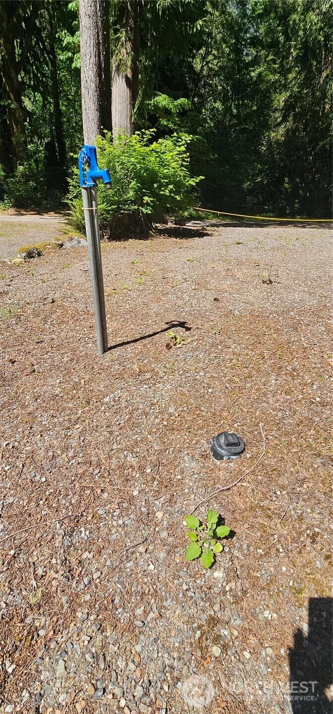 63702 Marblemount Way Marblemount, WA 98267