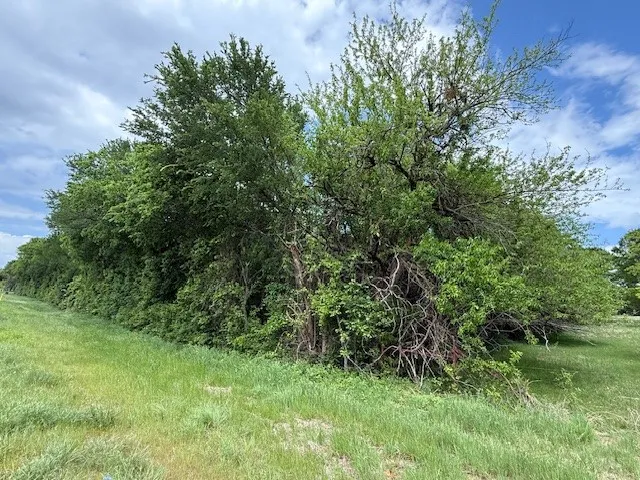 NW CR 4071 Frost, TX 76641