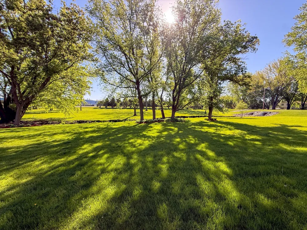 406 2nd Street NE Dodge Center, MN 55927